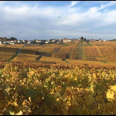 Gite En Champagne Le Sarment Cramant Buitenkant foto