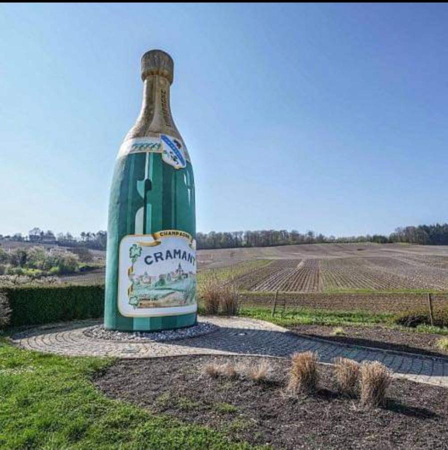 Gite En Champagne Le Sarment Cramant Buitenkant foto