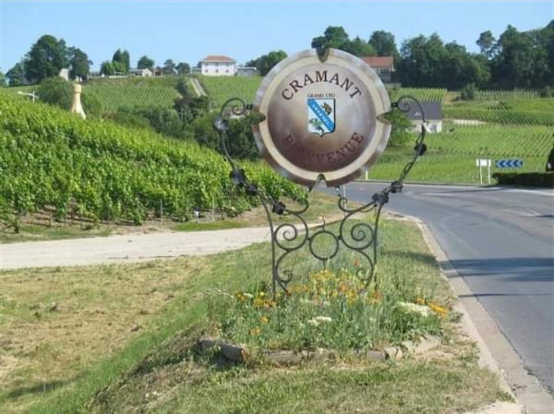 Gite En Champagne Le Sarment Cramant Buitenkant foto
