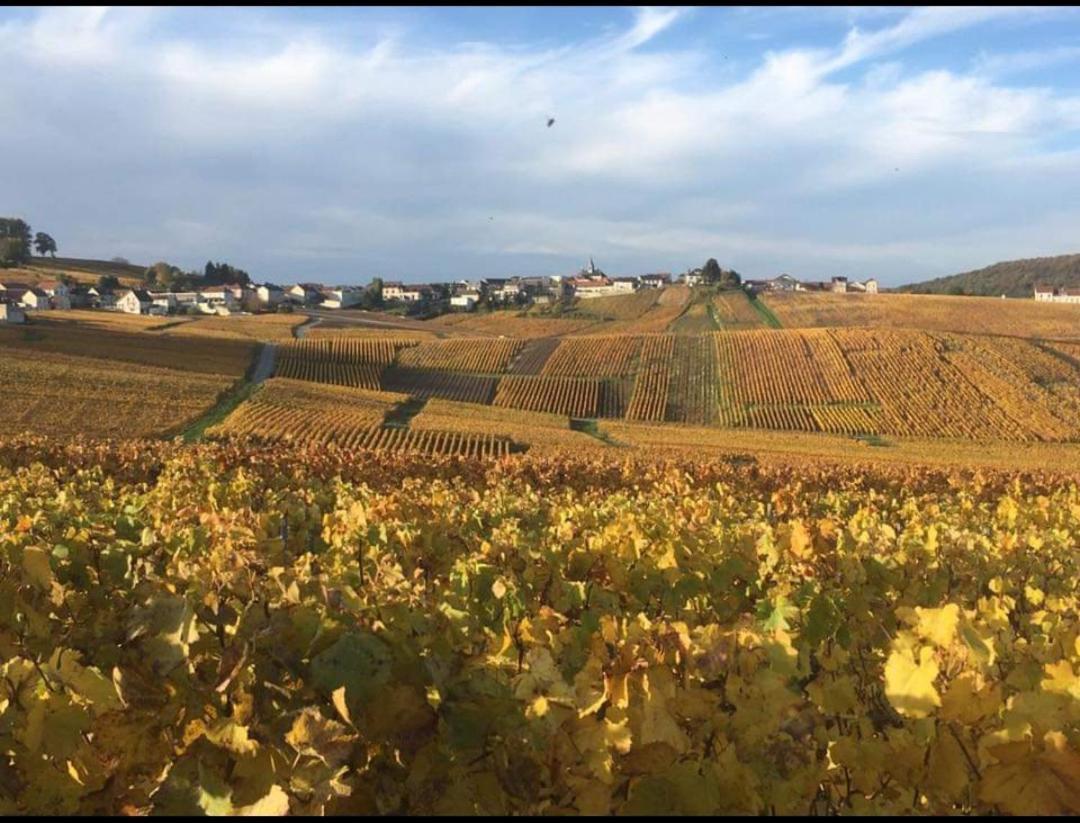 Gite En Champagne Le Sarment Cramant Buitenkant foto