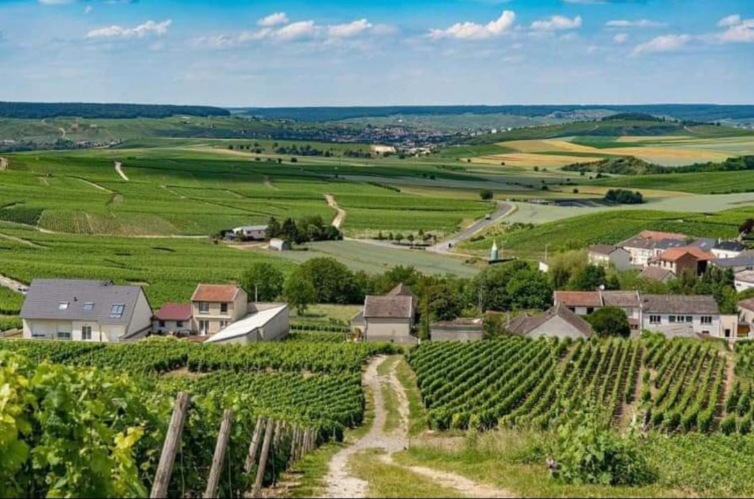 Gite En Champagne Le Sarment Cramant Buitenkant foto